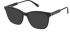 NINA RICCI VNR313 Sunglasses in SHINY BLACK