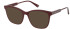 NINA RICCI VNR313 Sunglasses in FULL BORDEAUX