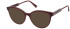 NINA RICCI VNR314 Sunglasses in FULL BORDEAUX