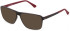 POLICE VPLD09 Sunglasses in SHINY TRANSP.BROWN