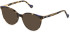 YALEA VYA003V Sunglasses in SHINY MEDIUM HAVANA