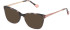 YALEA VYA006L Sunglasses in SHINY BROWN/BEIGE HAVANA