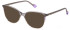 YALEA VYA047V-52 Sunglasses in GRAD.GREY