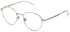 LOZZA VL2399 glasses in SHINY FULL PALLADIUM