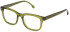 LOZZA VL4275 glasses in TRANSP.GREEN