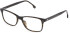 LOZZA VL4292 glasses in SHINY DARK HAVANA