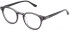 LOZZA VL4293 glasses in BLACK TOP+CRYSTAL