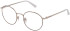 NINA RICCI VNR243 glasses in SHINY LIGHT ROSE GOLD