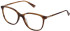 NINA RICCI VNR247 glasses in SHINY HAVANA STRIPED OCHRE