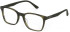 POLICE VPLD99 glasses in GREEN/MOSS/STRIPED OLIVA