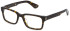 POLICE VPLE36 glasses in SHINY DARK HAVANA