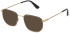 POLICE VPLF79N sunglasses in Semi Matt Black//Rose Gold