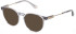 POLICE LEWIS HAMILTON VPLF10 sunglasses in Transparent Grey