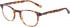 Hackett HEB138 Glasses in Brown Tortoiseshell