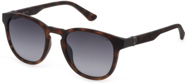 POLICE SPLF60E sunglasses in Matt Dark Havana