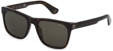POLICE SPLE37N sunglasses in Shiny Dark Havana