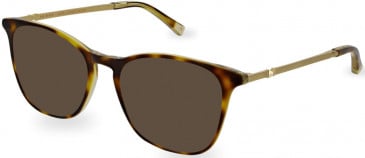 Ted Baker TB9209 sunglasses in Tortoise/Yellow