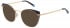 Ted Baker TB2273 sunglasses in Navy