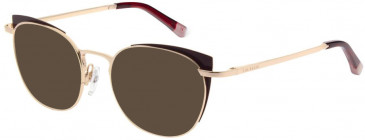 Ted Baker TB2273 sunglasses in Burgundy