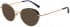 Ted Baker TB2274 sunglasses in Navy