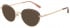 Ted Baker TB2274 sunglasses in Pink
