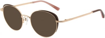 Ted Baker TB2274 sunglasses in Brown