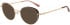 Ted Baker TB2274 sunglasses in Brown