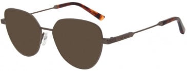 Ted Baker TB2283 sunglasses in Coffee Gold