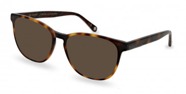 Ted Baker TB8252 sunglasses in Tortoise