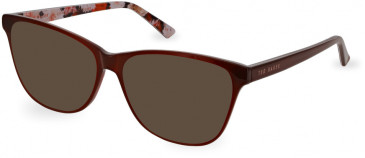 Ted Baker TB9207 sunglasses in Burgundy