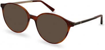 Ted Baker TB9219 sunglasses in Amber Tortoise