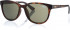 Superdry SDS-LIZZIE sunglasses in Matt Tortoise