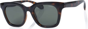 Superdry SDS-5008 sunglasses in Tortoiseshell