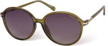 Radley RDS-RAYANNA sunglasses in Green Gold