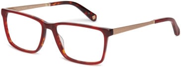 Ted Baker TB8218 glasses in Red/Tortoise