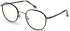 Hackett HEB279 Glasses In Gun/Tort