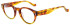 Hackett HJPO104 glasses in Honey Tort