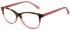 Joules JO3063 glasses in Gloss Light Tort/Pink