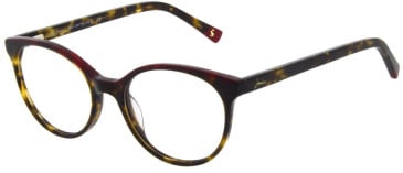 Joules JO3064 glasses in Gloss Red/Brown Tort