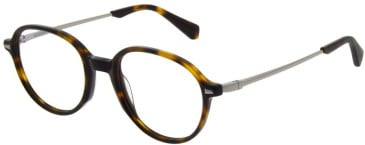 Sandro SD1031 glasses in Tort