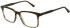 Sandro SD1033 glasses in Brown Grey Horn