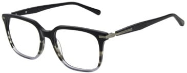 Scotch and Soda SS4025 glasses in Gloss Black Striped Gradient