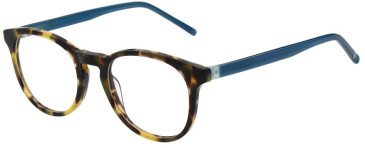 United Colors of Benetton BEO1091 glasses in Gloss Tortoiseshell
