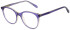 United Colors of Benetton BEO1094 glasses in Gloss Crystal Purple/Champagne