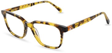 United Colors of Benetton BEO1095 glasses in Gloss Classic Tort