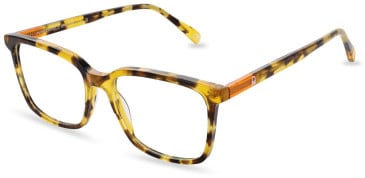 United Colors of Benetton BEO1098 glasses in Gloss Classic Tort