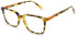 United Colors of Benetton BEO1098 glasses in Gloss Classic Tort