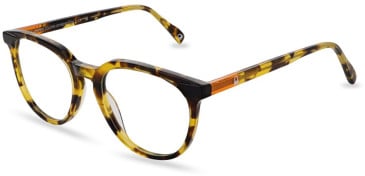 United Colors of Benetton BEO1100 glasses in Gloss Classic Tort