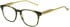 Hackett HEB304 glasses in Gloss Green Horn
