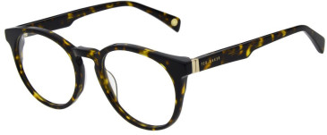 Ted Baker TB2324 glasses in Tortoise